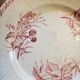 Assiettes terre de fer rose collection "mûres"