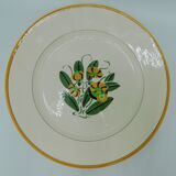 Plat creux - Longwy - Raymond - Renoncules
