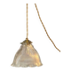 Suspension ou baladeuse holophane fil corde