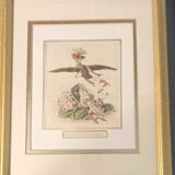 JJ Grandville Animated Flower Frame - Imperial Crown Hydrangea