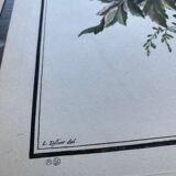 Two floral lithographs 2124