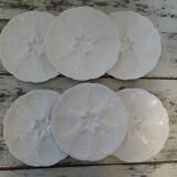6 oyster plates 30123 porcelain white cnp france