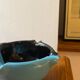 Two-tone ceramic ashtray