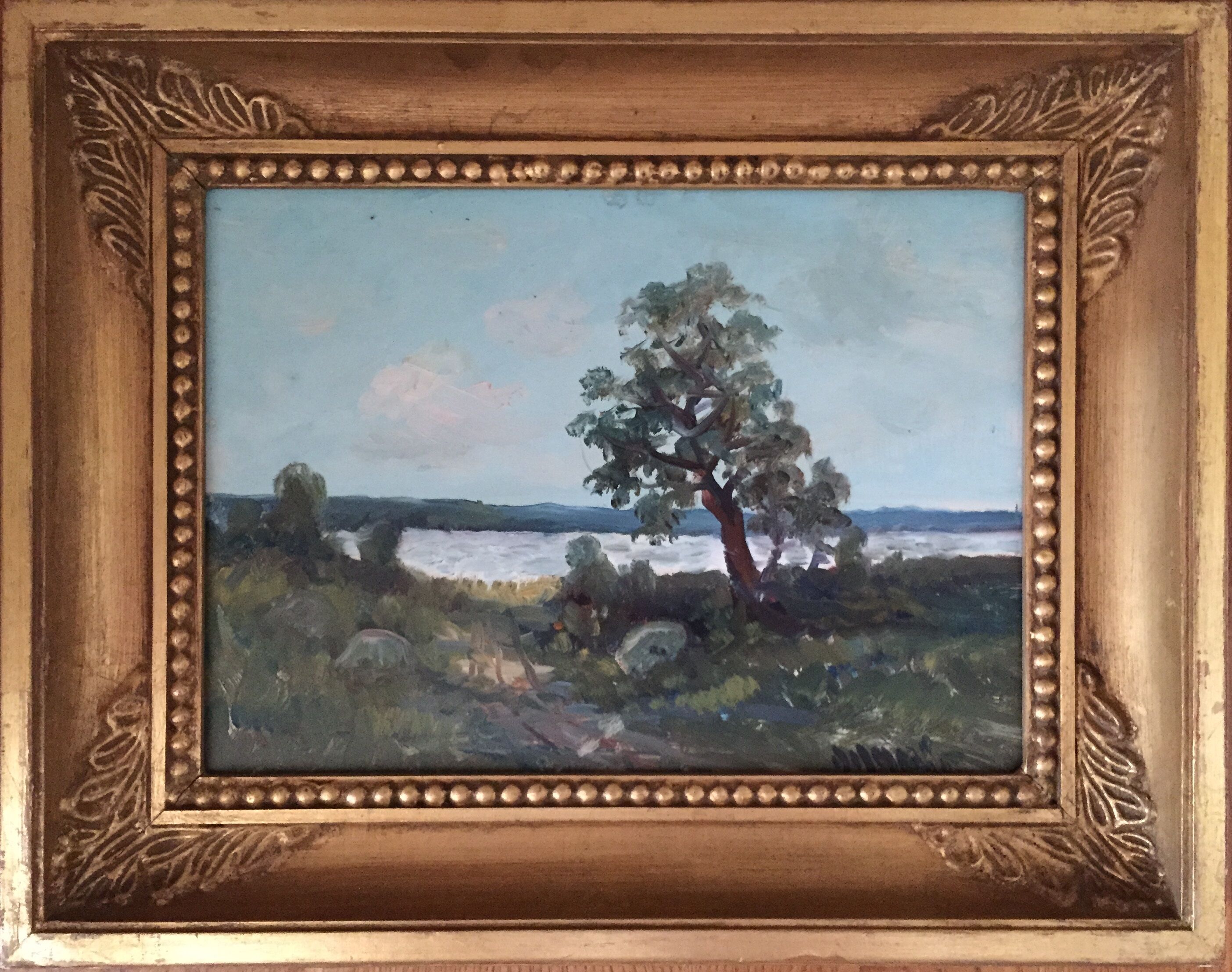 Lake landscape in summer