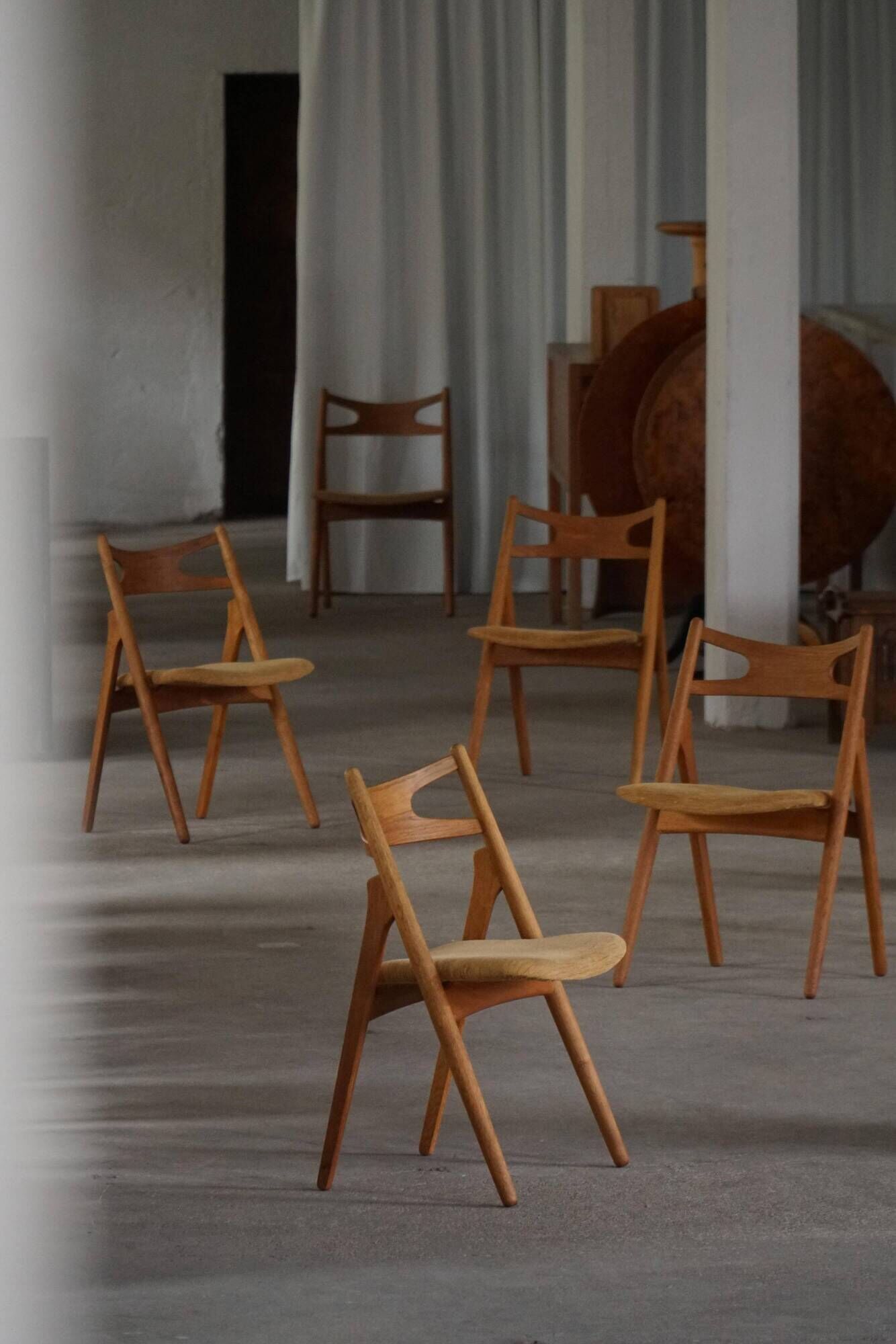 Set of 6 Danish dining chairs CH29 by Hans J. Wegner for Carl Hansen & Søn, 1951