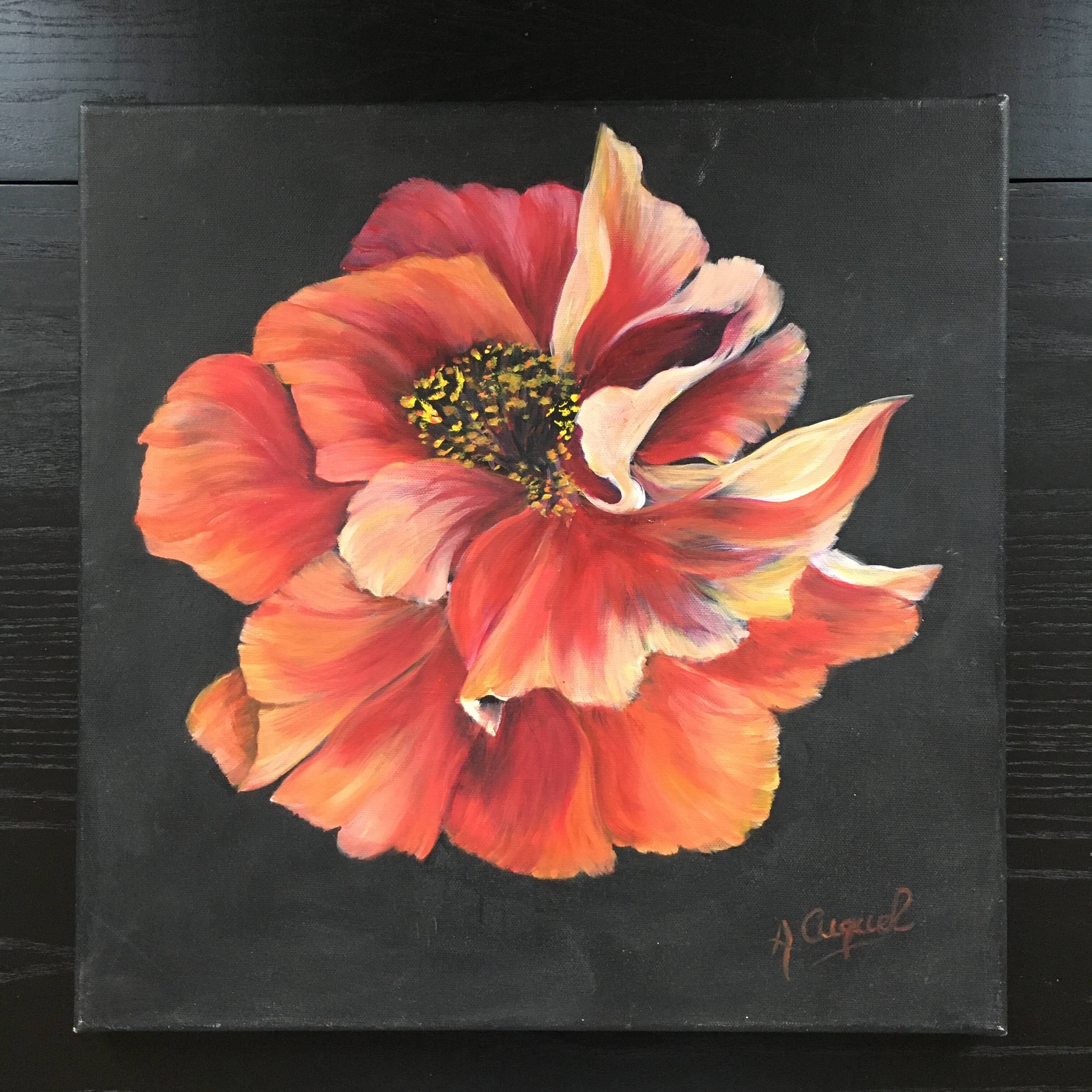 Pink peony painting on black background