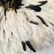 Juju hat blanc moucheté 75 cm