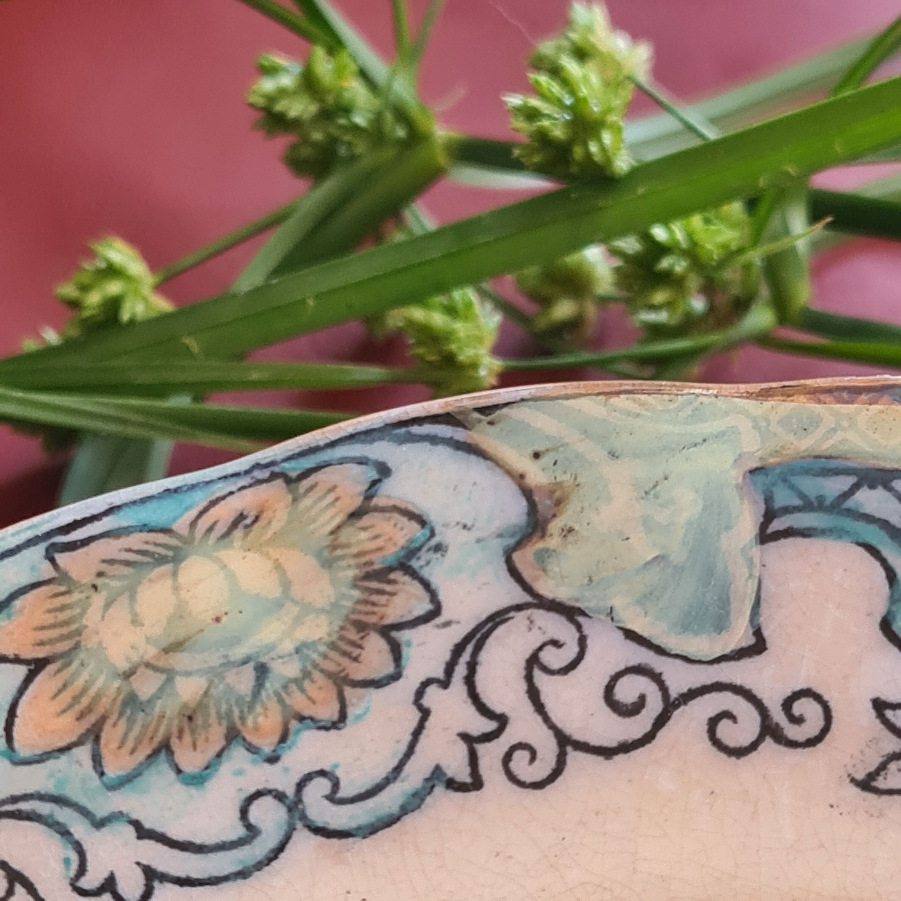 A plate boch brothers model canton 19th -18.5cm