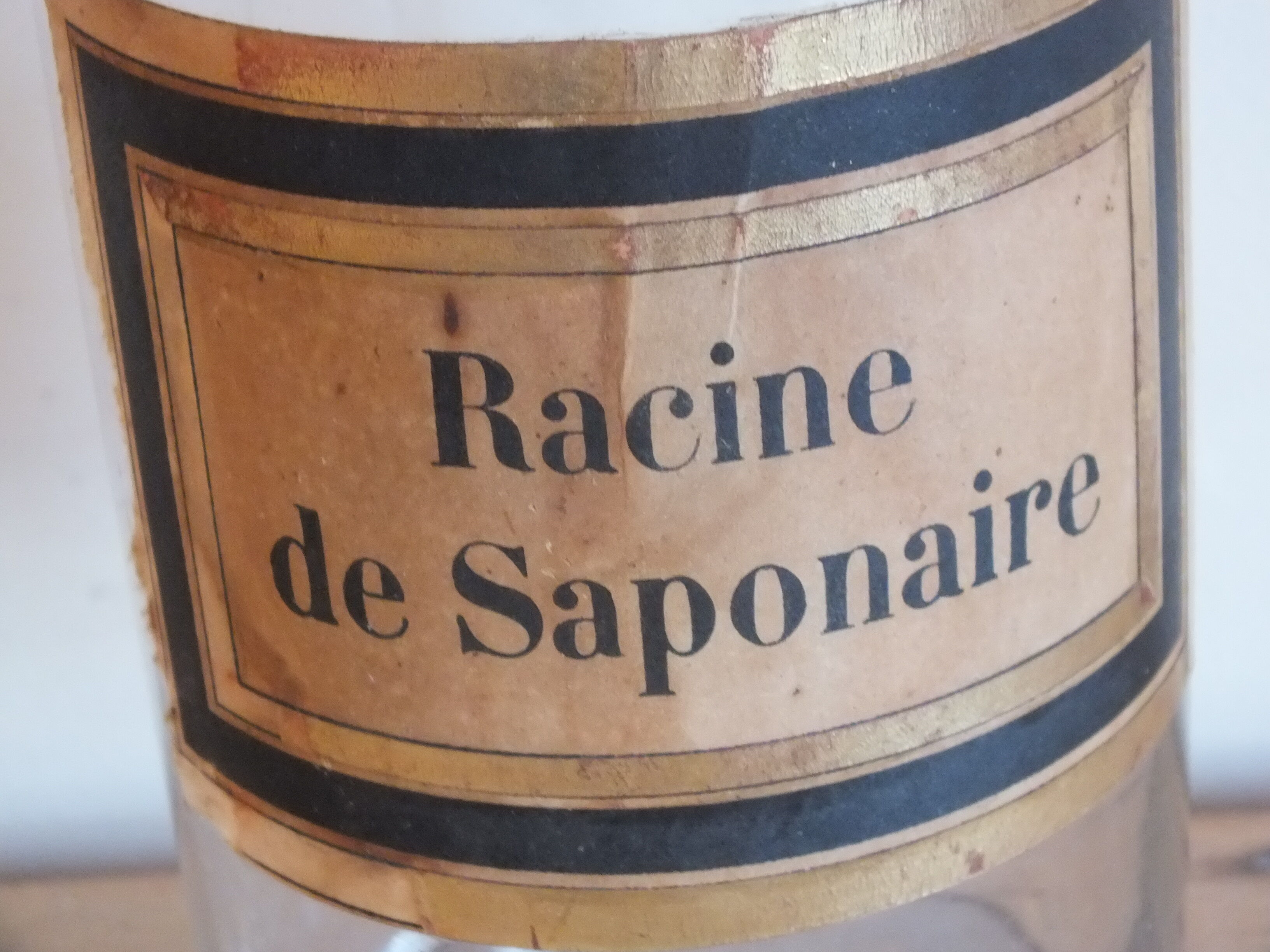 Old medicine jar - glass apothecary: Saponaria root