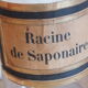 Old medicine jar - glass apothecary: Saponaria root