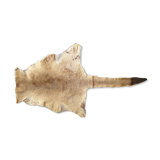 Kangaroo skin