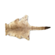 Kangaroo skin