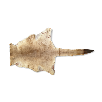 Kangaroo skin