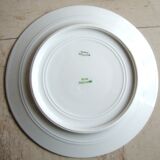 6 Fruit decorated plates Pillivyt France