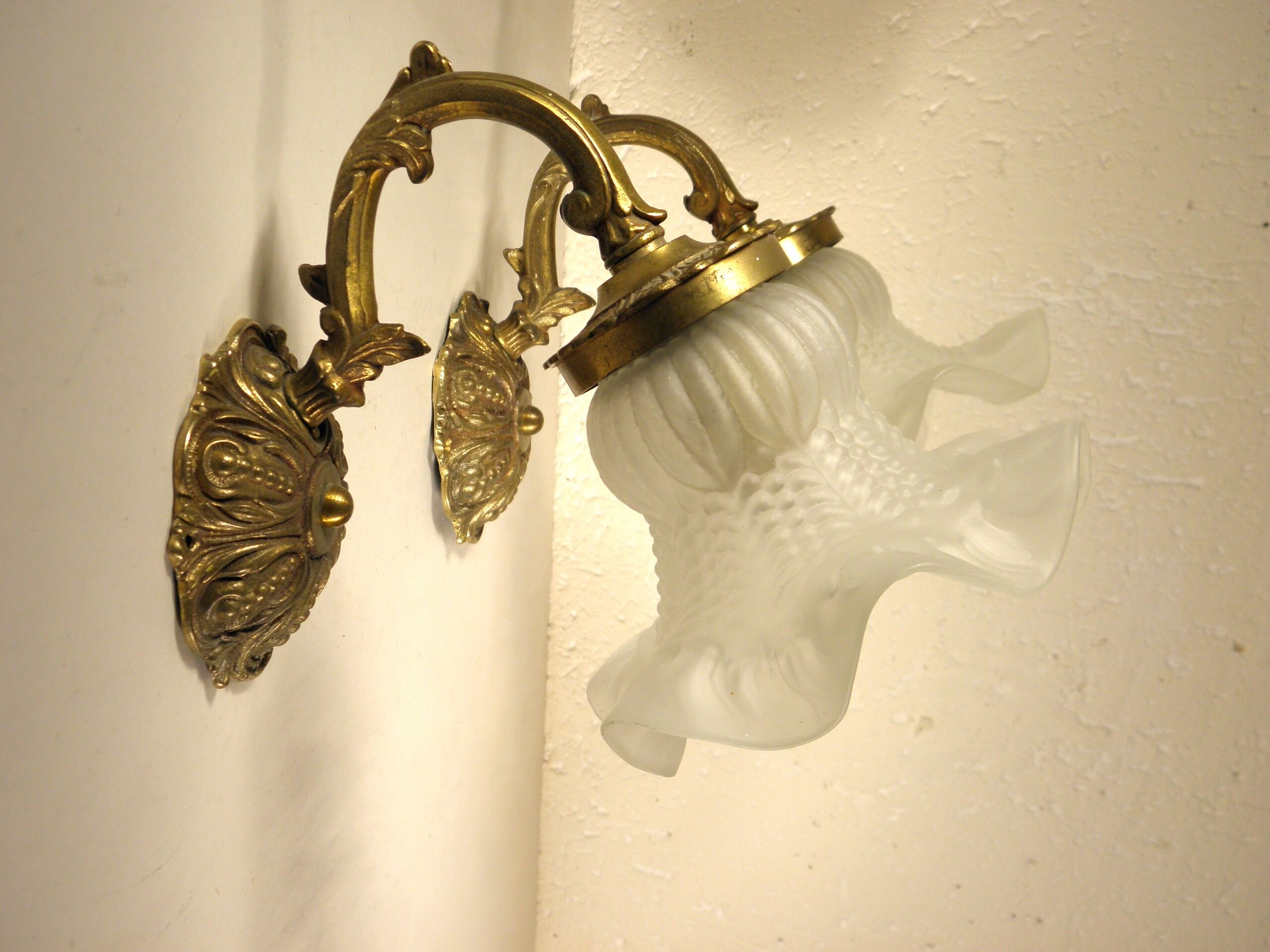 Pair of gooseneck sconces in brass and glass