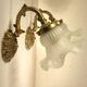 Pair of gooseneck sconces in brass and glass