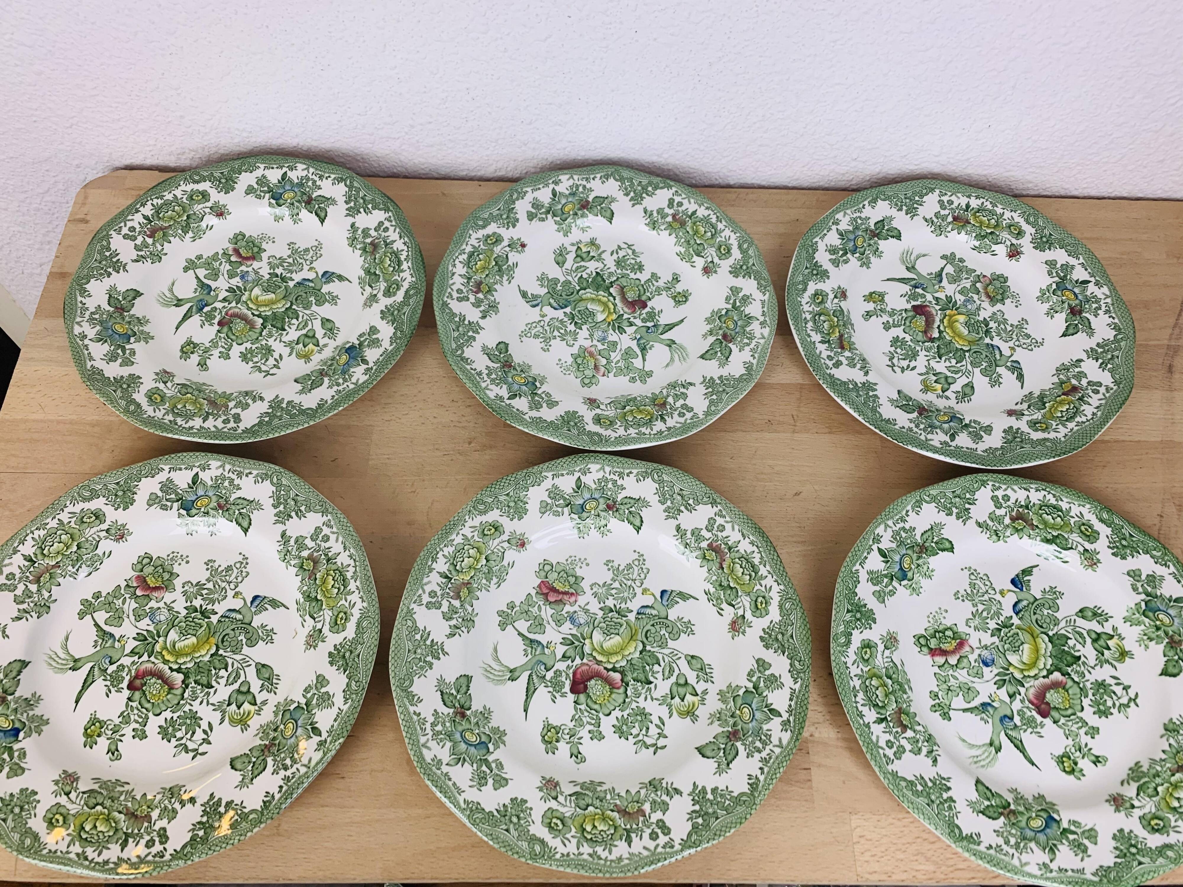 6 flat plates Wedgwood Oriental Pheasants green