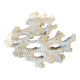 Corail blanc