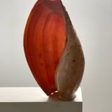 Large Melo Amphora seashell.