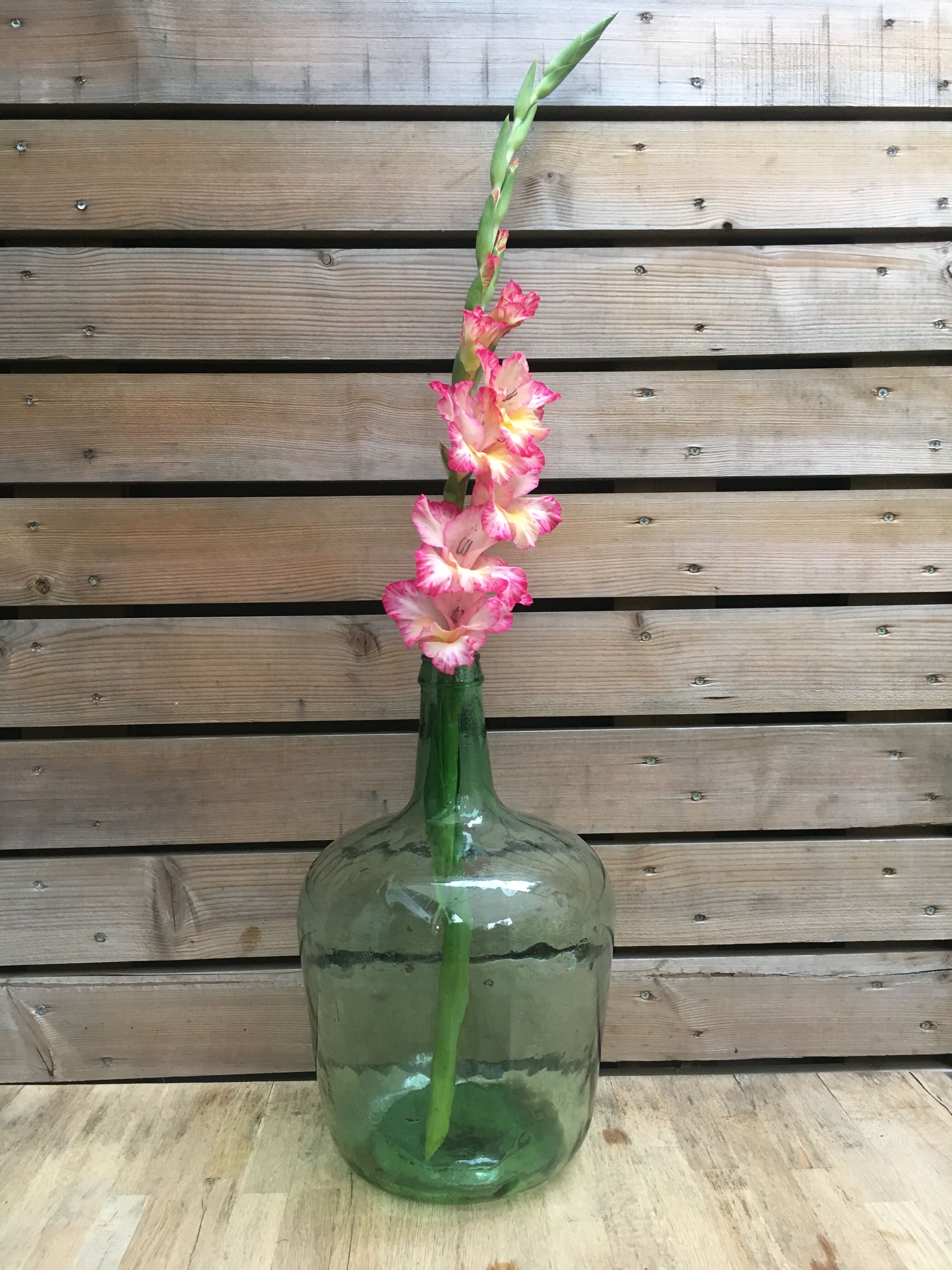 Beautiful demijohn blown glass