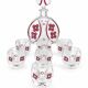 Vintage liqueur service in decorated red glass – decanter and 7 glasses