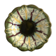 Large flower dish