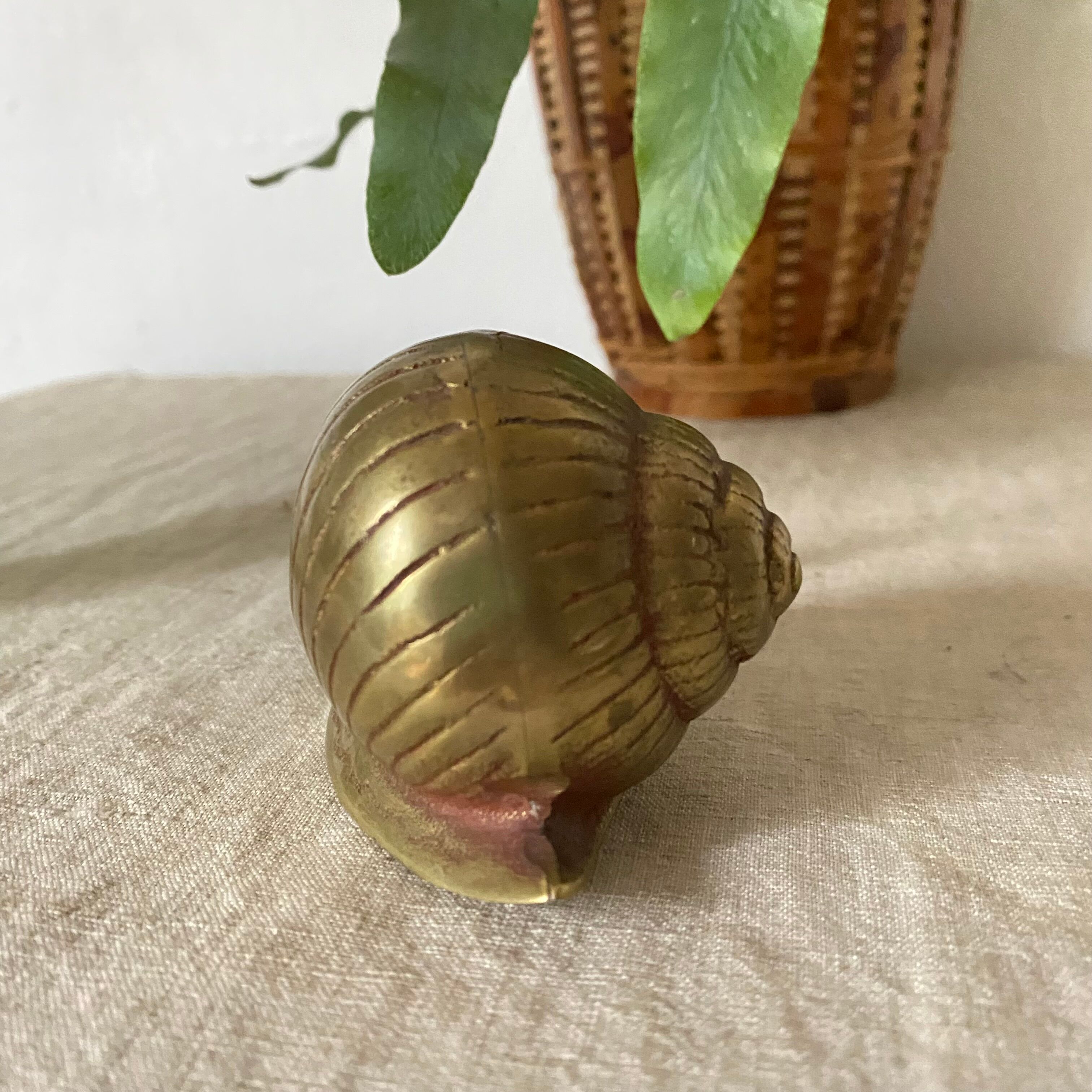 Golden brass snail