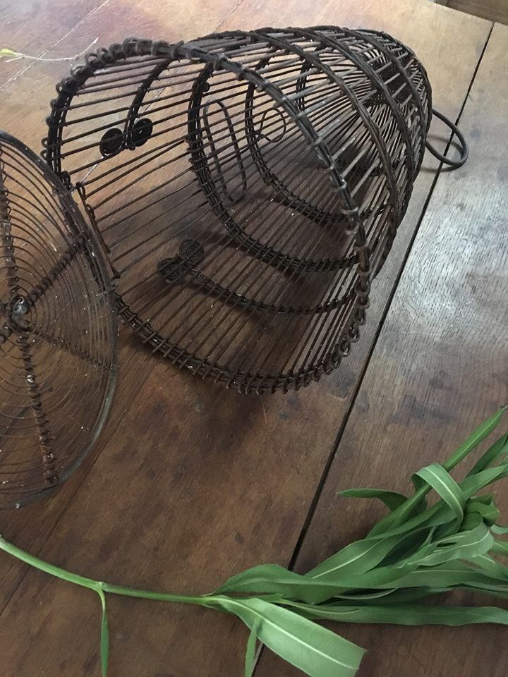 Old iron dome-shaped cage