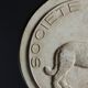 Plaster plaque "societe canine"