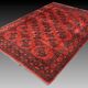 Oriental carpet Boukhara Turkmen Afghanistan: 350 x 255 cm