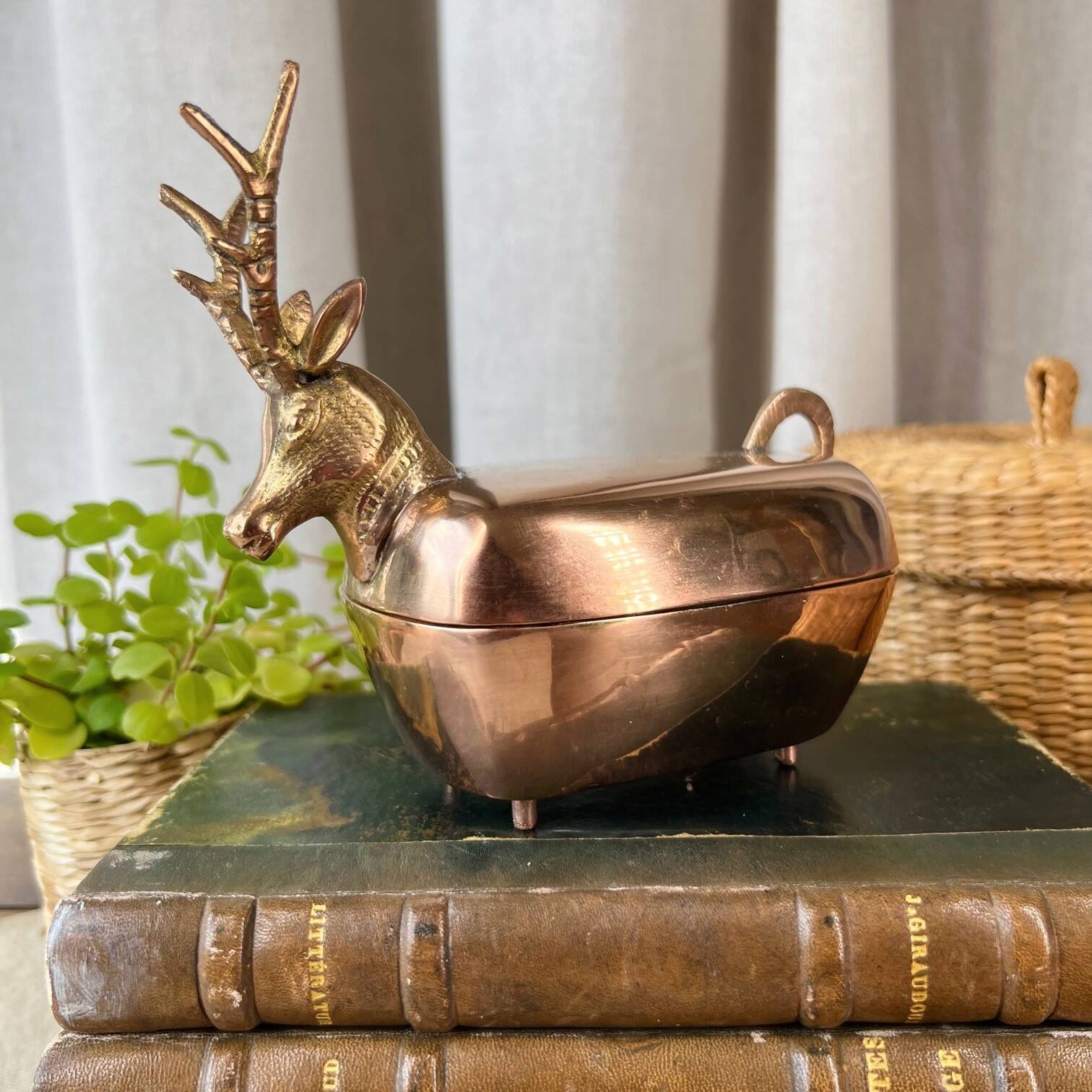 “Deer” brass box