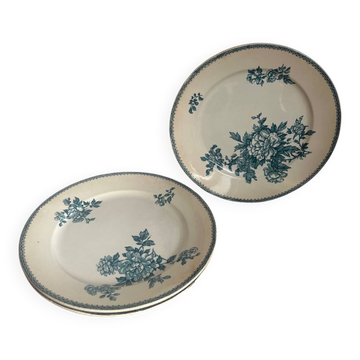 3 assiettes plates