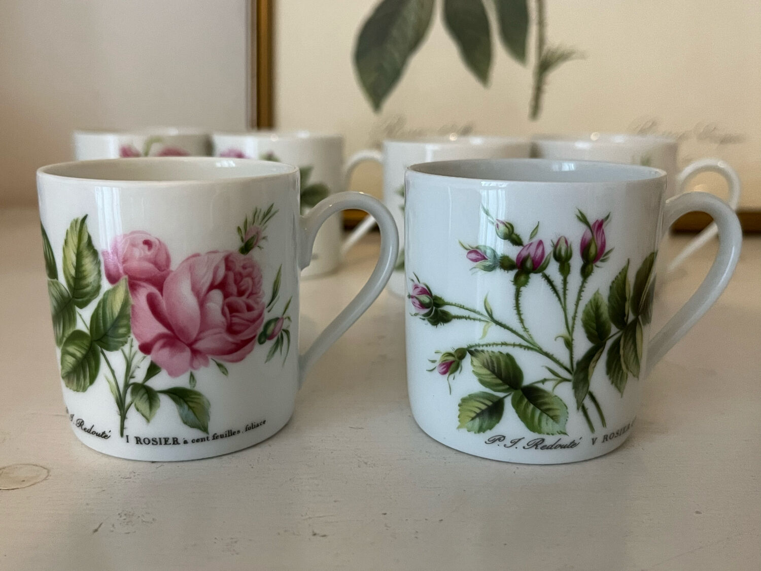 Porcelain cups rose pattern