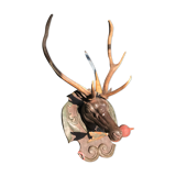 Hunting Trophy