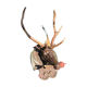 Hunting Trophy
