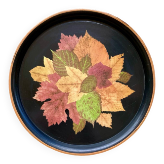 Plateau d’automne