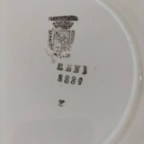 Sarregumeines and Digoin plate, René model