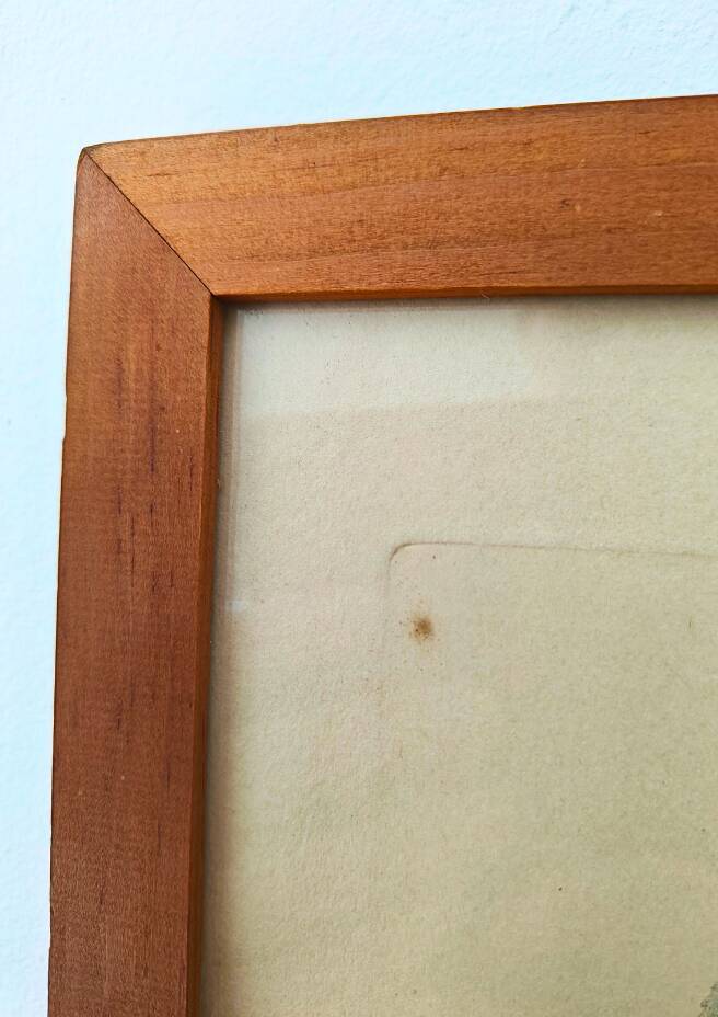 Pair of Botanical Plates 1905 – Peach & Pear – Poiteau