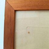 Pair of Botanical Plates 1905 – Peach & Pear – Poiteau