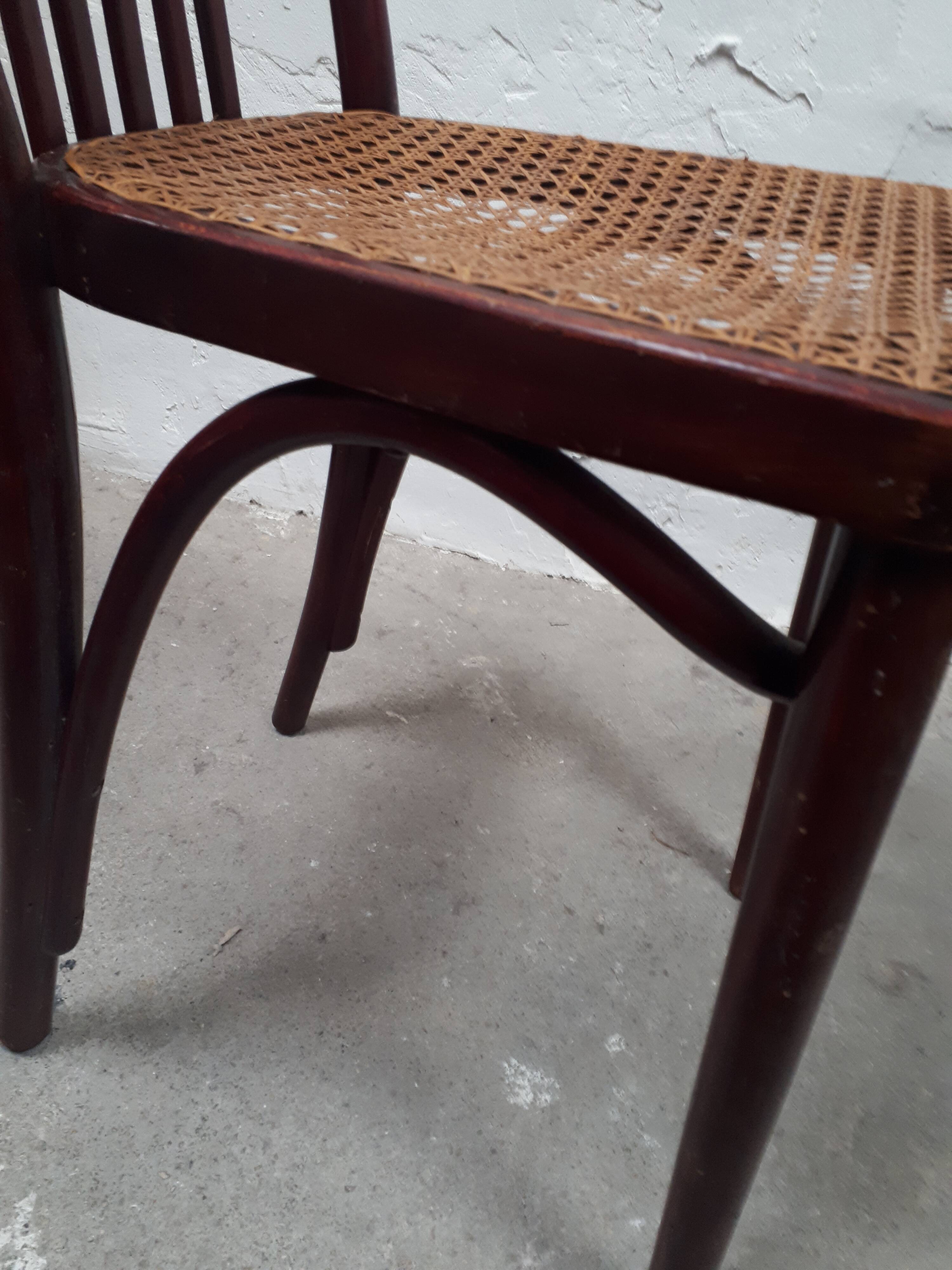 Pair of chair Thonet, 1900