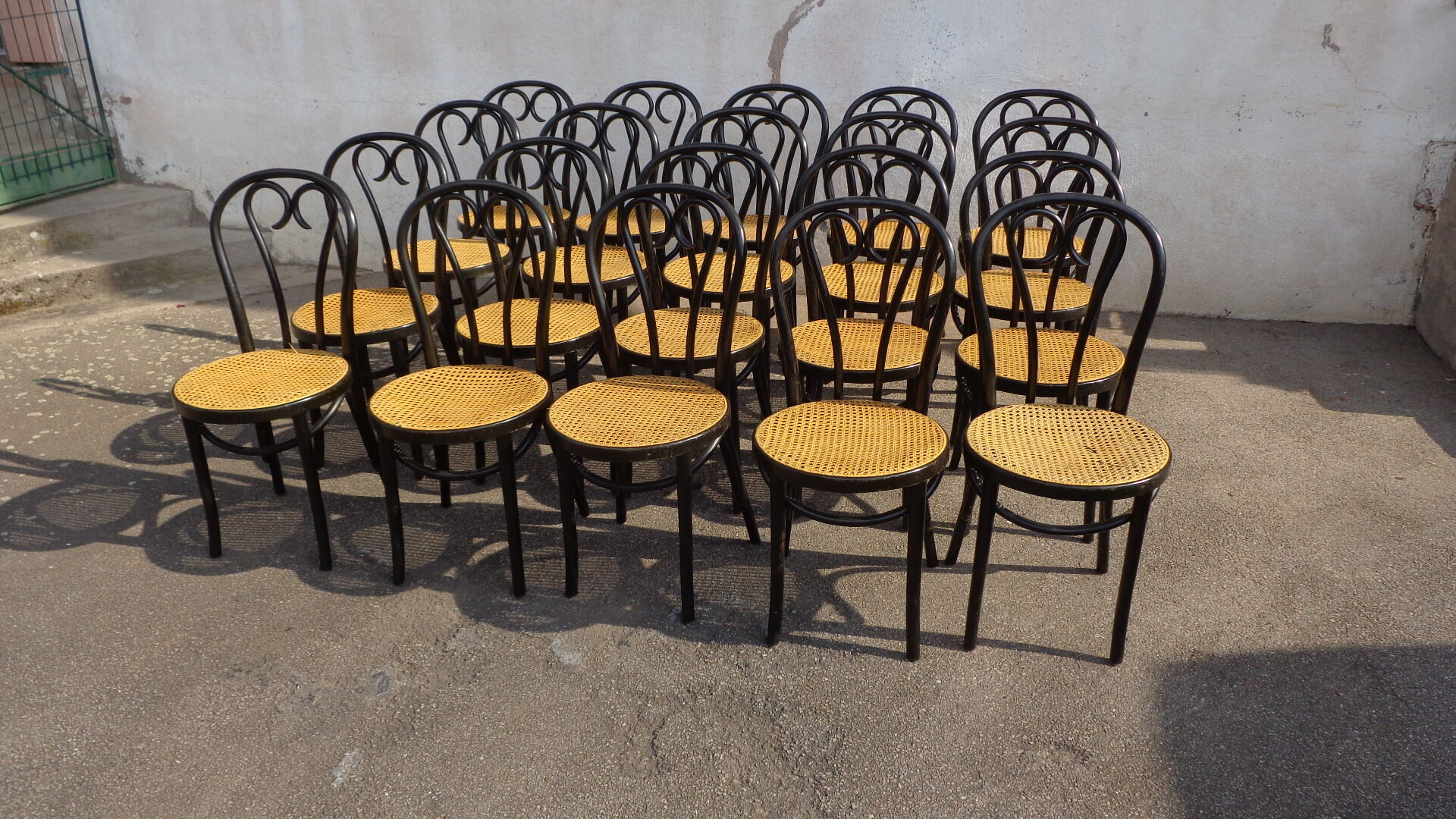 Set of 20 curved wooden chairs
