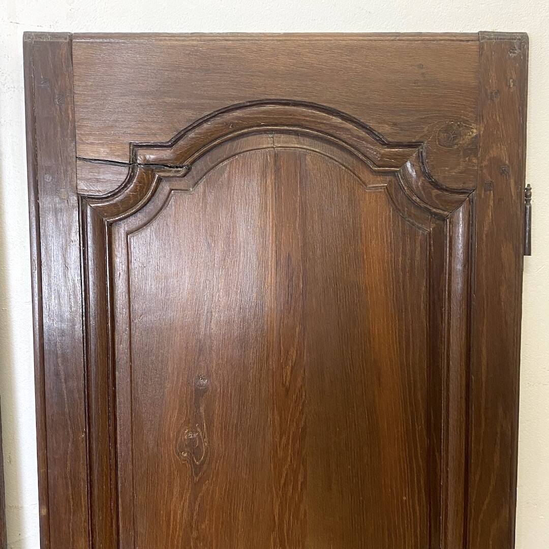 Pair of 19th century oak cabinet doors