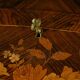Small Rosewood Lady's Desk, Louis XV Style – Part 2 of the 19th Century