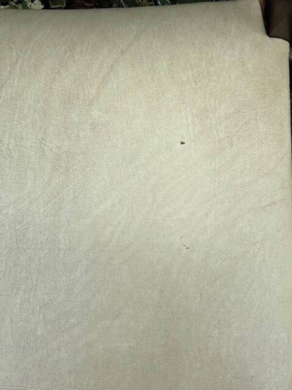 6 chaises scandinaves assise Skaï jaune pâles