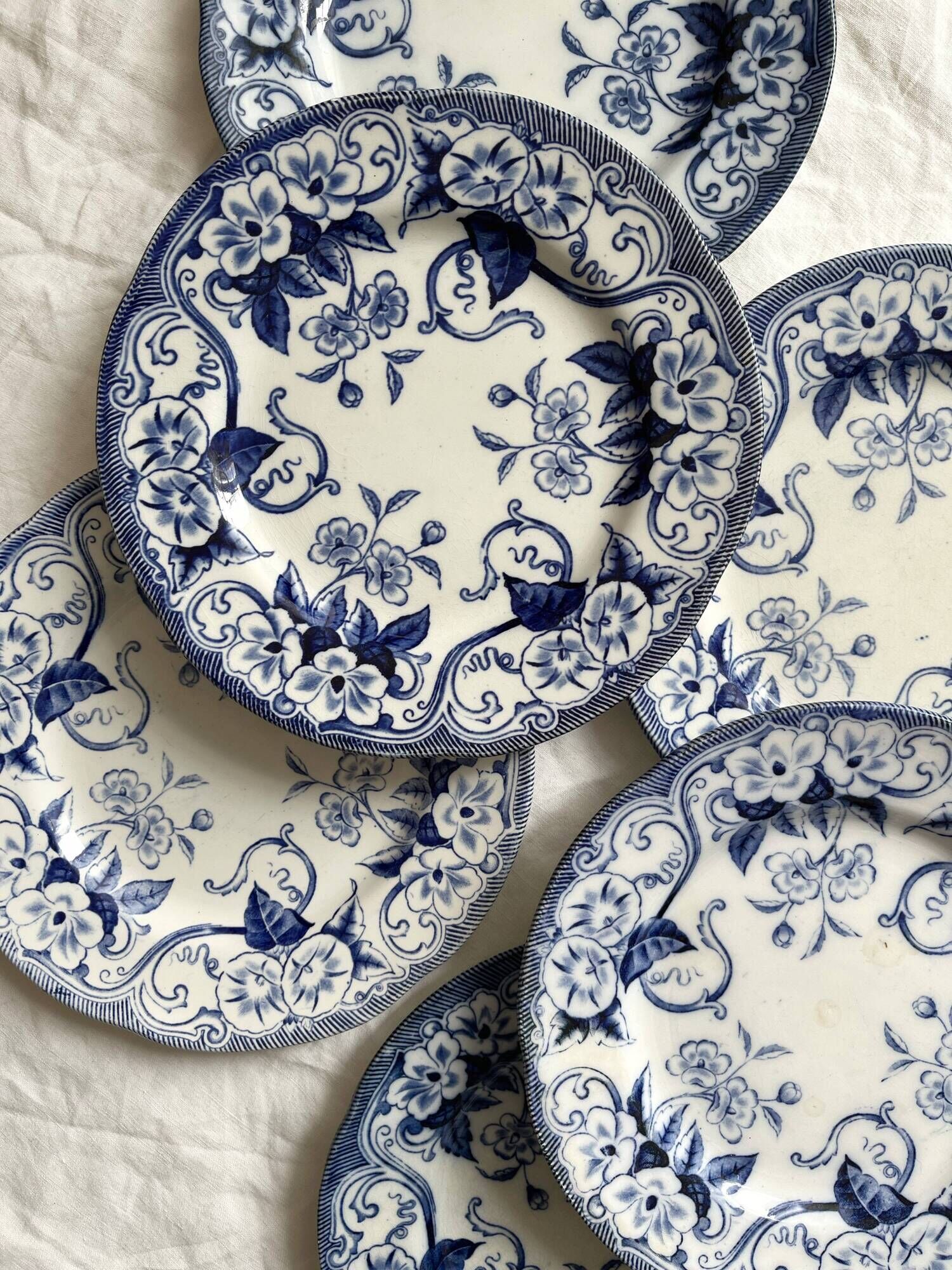 6 dessert plates in iron earth Flora, Creil and Montereau late nineteenth