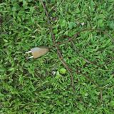 Vintage lamppost 60's tripod