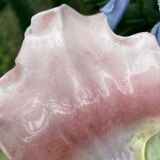 Large clematis slip pocket emptier