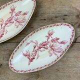 Lot of 2 dishes model Cactus de Gien