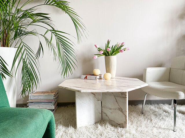 Marble coffee table