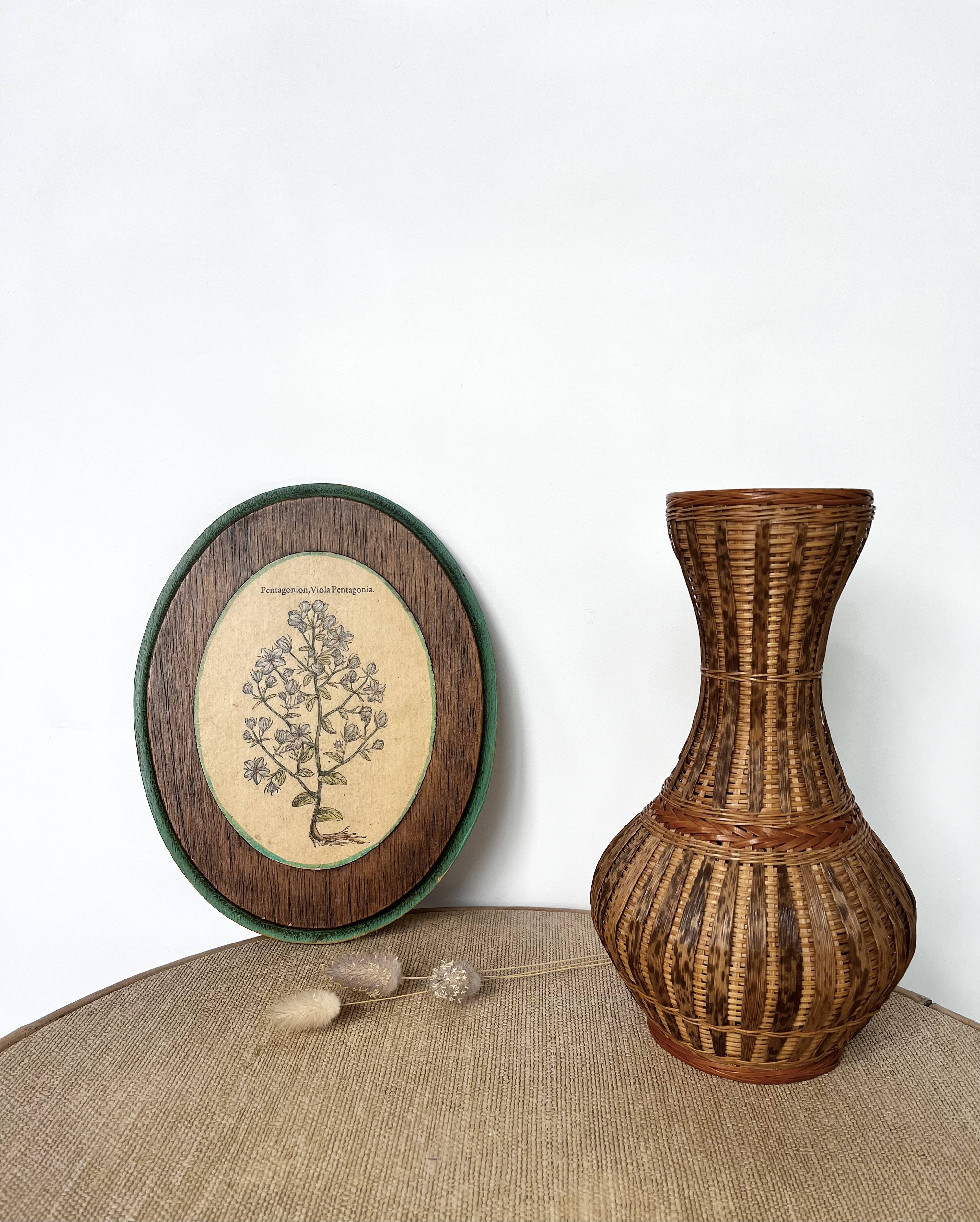 Herbarium botanical medallion plaque